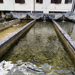 Photo n°18 de l'avis de alessandro.e fait le 29/08/2021 à 18:03 sur le  Ristorante Residenza Turistica Fiumicello à Premilcuore