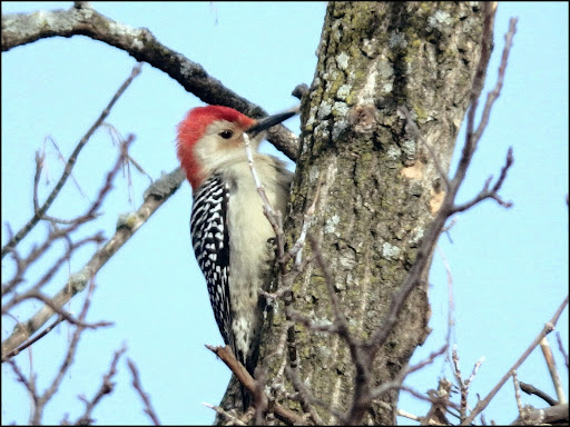 Nature Preserve «W w Knight Nature Preserve», reviews and photos, 29530 White Rd, Perrysburg, OH 43551, USA