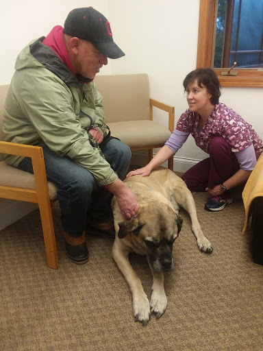 MetroEast Home Vet Care image