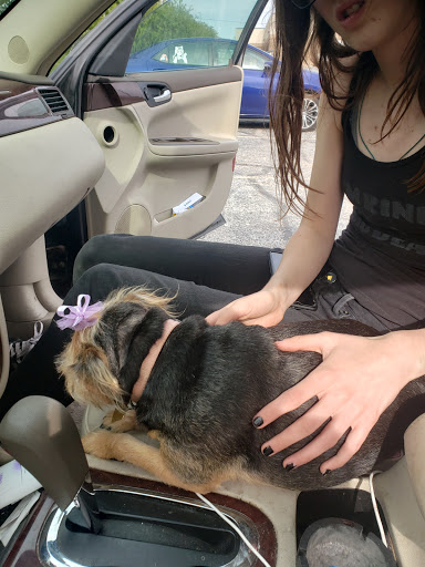 Pet Supply Store «Petco Animal Supplies», reviews and photos, 3860 Elmore Avenue, Davenport, IA 52807, USA