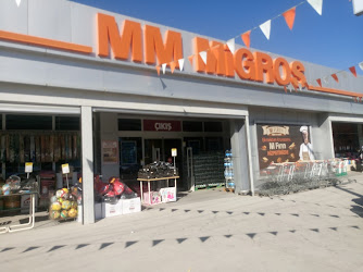 Migros Altınova (M)