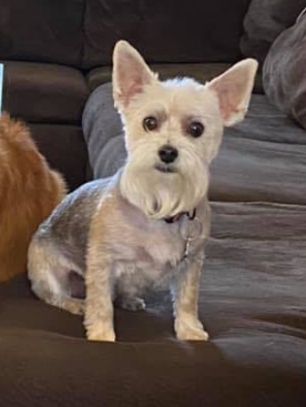 Pet Supply Store «PetSmart», reviews and photos, 14290 Plymouth Ave, Burnsville, MN 55337, USA