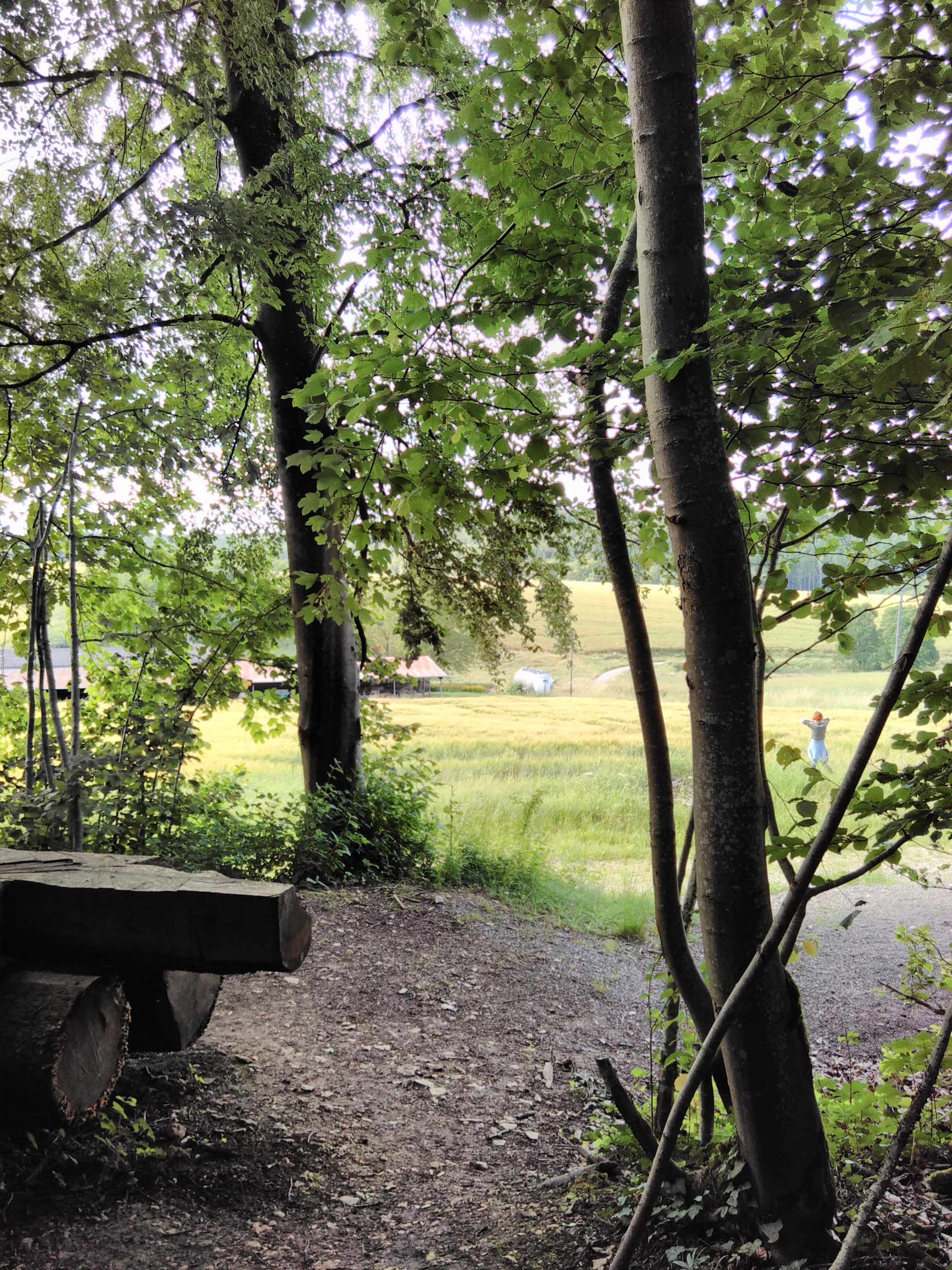 Photo n° 5 de l'avis de Rudy.a fait le 07/07/2016 à 09:15