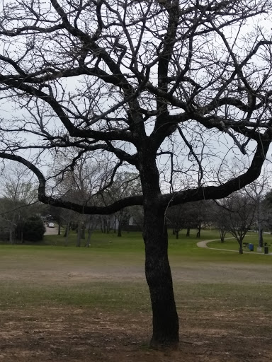 Park «Cobblestone Trail Park», reviews and photos, 7601 John T White Rd, Fort Worth, TX 76120, USA
