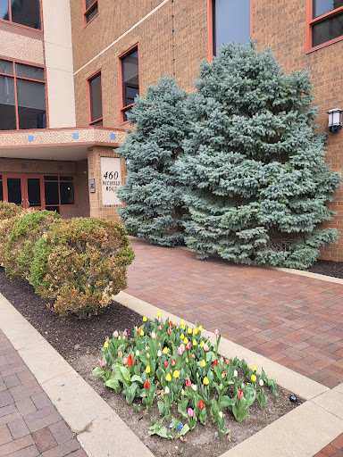 Hair Transplantation Clinic «Bosley Medical - Kansas City», reviews and photos, 460 Nichols Rd #350, Kansas City, MO 64112, USA