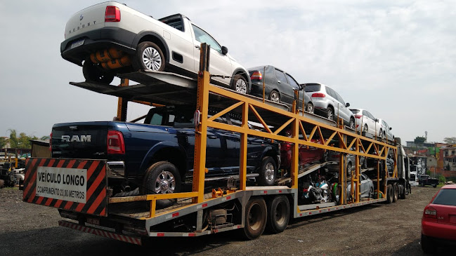 Avaliações sobre Transzello transportes de veículos e remoções Ltda em Goiânia - Serviço de transporte
