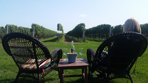 Winery «Roanoke Vineyards», reviews and photos, 3543 Sound Ave, Riverhead, NY 11901, USA