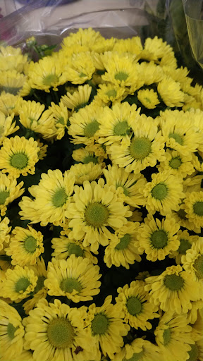 Grocery Store «Food Lion», reviews and photos, 4891 Long Beach Rd SE, Southport, NC 28461, USA