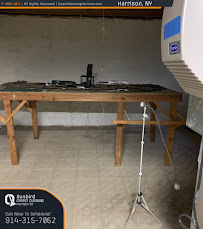 Sunbird Carpet Cleaning Harrison NY - Photo 6 - Car repair in , Brooklyn