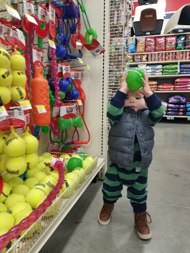 Pet Supply Store «Petsense Searcy», reviews and photos, 3450 E Race Ave, Searcy, AR 72143, USA
