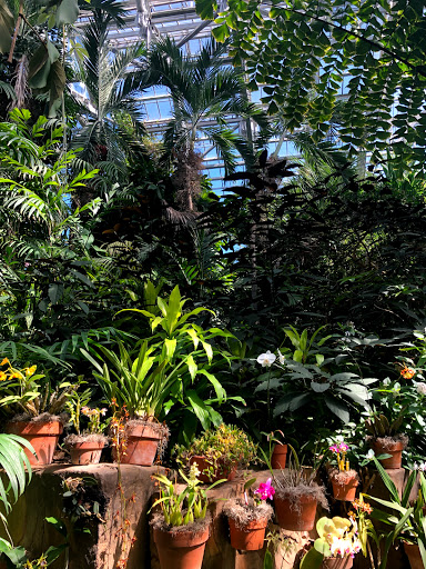 Gift Shop «Meijer Gardens Gift Shop», reviews and photos, 1000 E Beltline Ave NE, Grand Rapids, MI 49525, USA