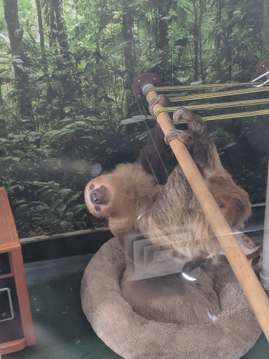 Pet Supply Store «EarthWise Pet Supply - Flower Mound», reviews and photos, 2311 Cross Timbers Rd #307, Flower Mound, TX 75028, USA