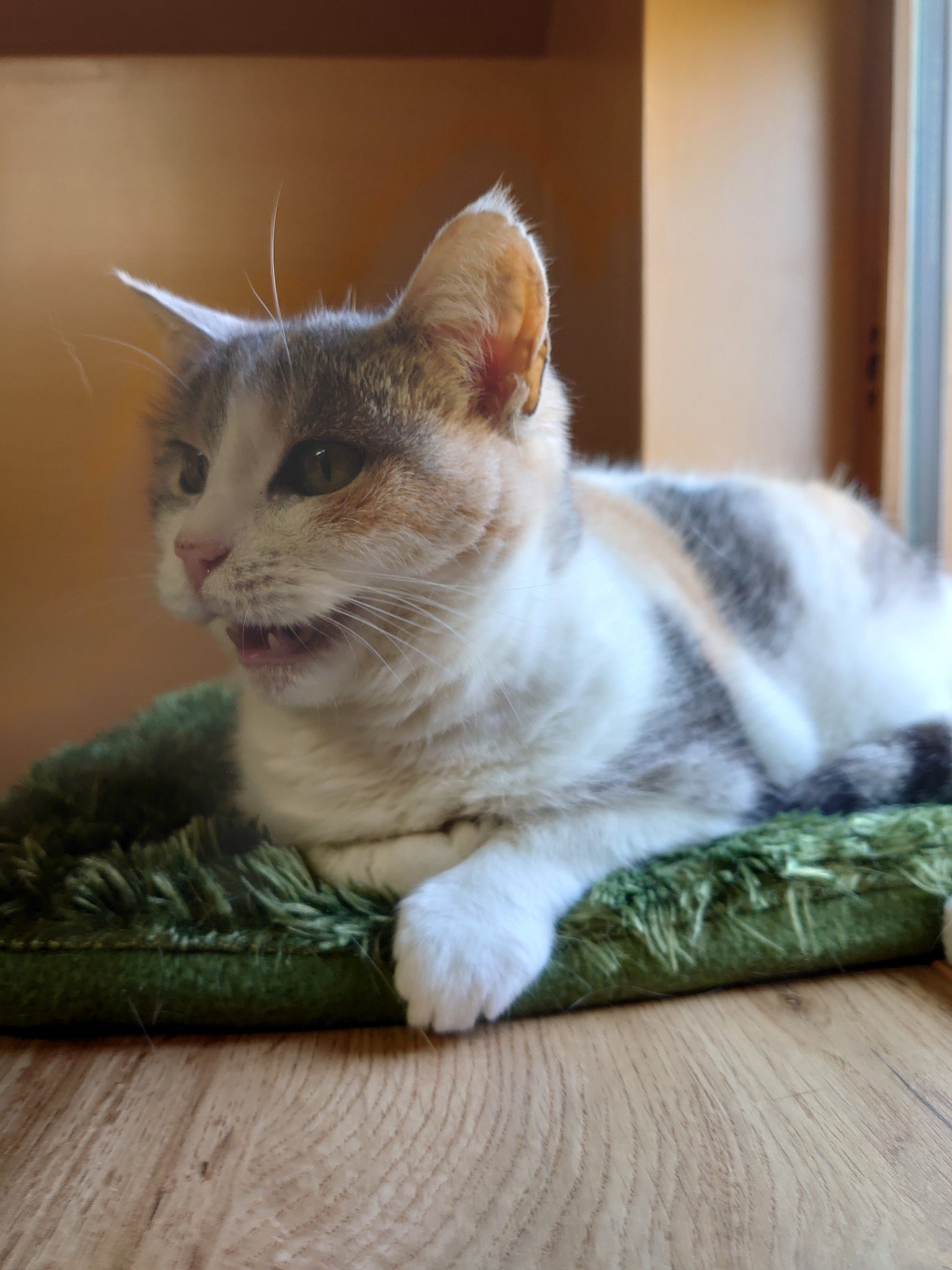 Photo n° 11 de l'avis de Nicolas.a fait le 01/06/2023 à 12:54