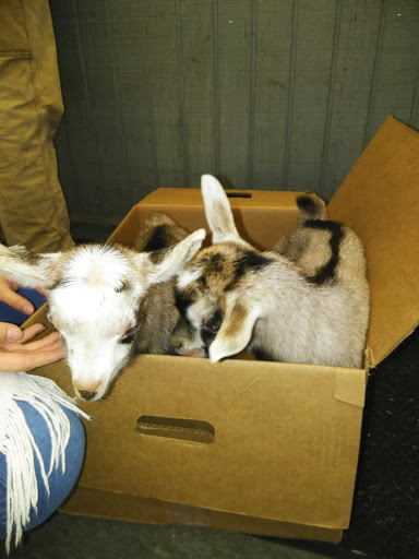 Pet Supply Store «Marvin Grain & Pet Supply», reviews and photos, 31 Cove Rd, South Dartmouth, MA 02748, USA