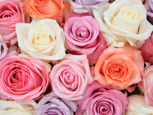 Florist «Fioravanti Florist», reviews and photos, 2279 Clifford Ave, Rochester, NY 14609, USA