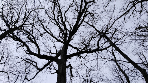 Nature Preserve «Meltzer Woods», reviews and photos, 1522 S 600 E, Shelbyville, IN 46176, USA