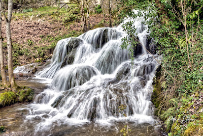 Domaine de Lucey à Lucey