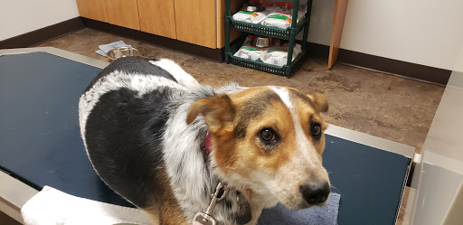 Ferdinand Vet Clinic image