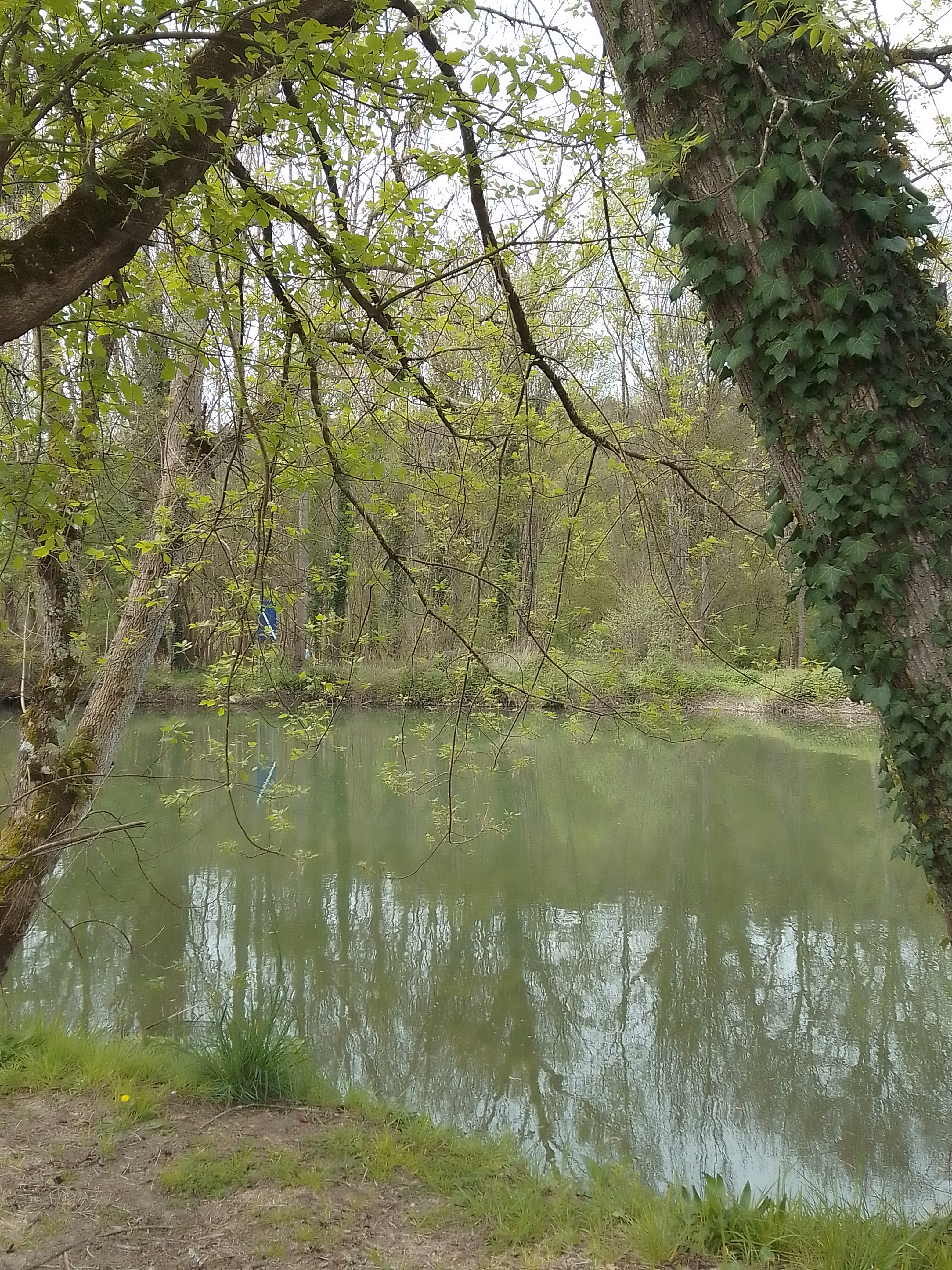 Photo n° 2 de l'avis de Dany.e fait le 11/04/2023 à 12:29