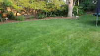 SavATree - Tree Service & Lawn Care - Photo 8 - Car repair in Denver, CO, Denver