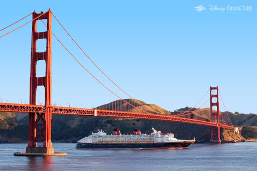 Cruise Planners Roxana Burns image