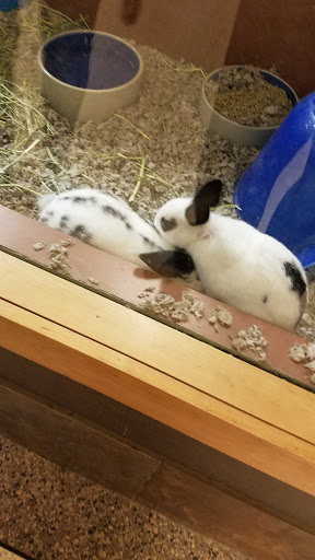 Pet Supply Store «Pets R Inn», reviews and photos, 3902 13th Ave S #3701, Fargo, ND 58103, USA