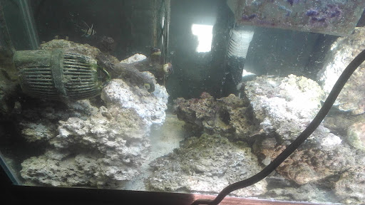 Pet Supply Store «Petco Animal Supplies», reviews and photos, 1014 Glenbrook Way, Hendersonville, TN 37075, USA