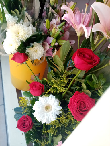 Florería cherry florería en  en la zona Col del Sol