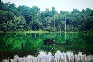Tasik Hijau Bukit Ibam (Green Lake, Bukit Ibam) image
