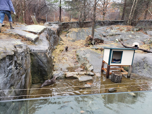 Museum «EcoTarium», reviews and photos, 222 Harrington Way, Worcester, MA 01604, USA