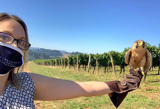 Vineyard «Tualatin Estate Vineyard», reviews and photos, 10850 NW Seavey Rd, Forest Grove, OR 97116, USA