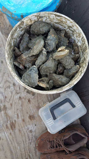 Fishing Charter «Marlin Quay Marina», reviews and photos, 1508 S Waccamaw Dr, Murrells Inlet, SC 29576, USA