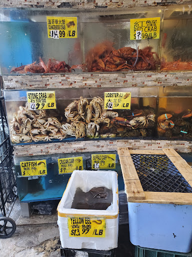 Supermarket «New Age Market», reviews and photos, 160-6 Northern Blvd, Flushing, NY 11358, USA