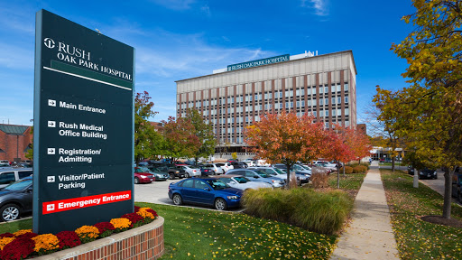 520 S Maple Ave, Oak Park, IL 60304, USA