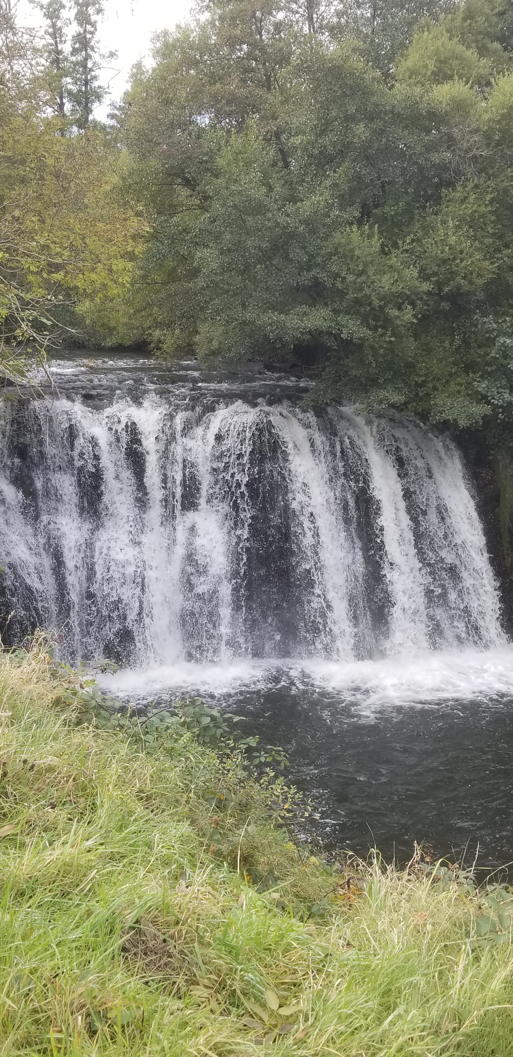 Photo n° 1 de l'avis de Céline.O fait le 25/10/2021 à 16:11