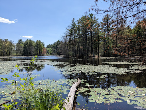 Garden «The Butterfly Place», reviews and photos, 120 Tyngsboro Rd, Westford, MA 01886, USA