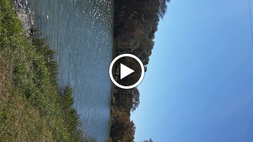 Corporate Office «Hill Country Arts Foundation», reviews and photos, 120 Point Theatre Rd S, Ingram, TX 78025, USA