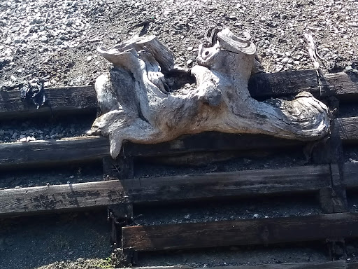 Wedding Venue «The Cotton Room», reviews and photos, 807 E Main St, Durham, NC 27701, USA