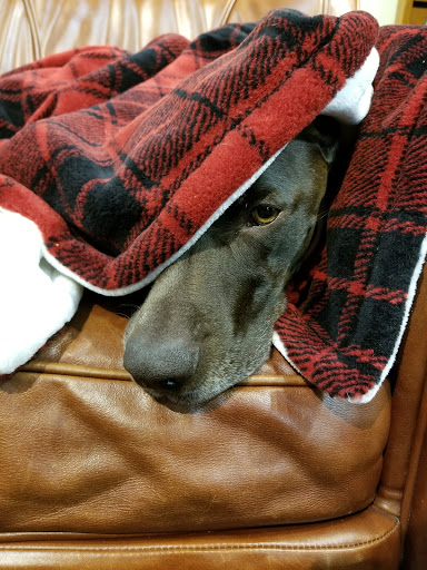 Clothing Store «Orvis», reviews and photos, 5727 Westheimer Rd, Houston, TX 77057, USA