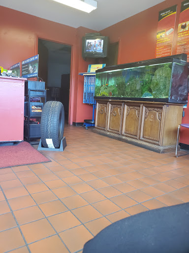 Car Repair and Maintenance «Midas», reviews and photos, 412 NY-59, Monsey, NY 10952, USA