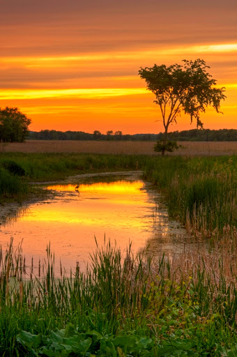 National Reserve «Montezuma National Wildlife Refuge», reviews and photos, 3395 US-20, Seneca Falls, NY 13148, USA
