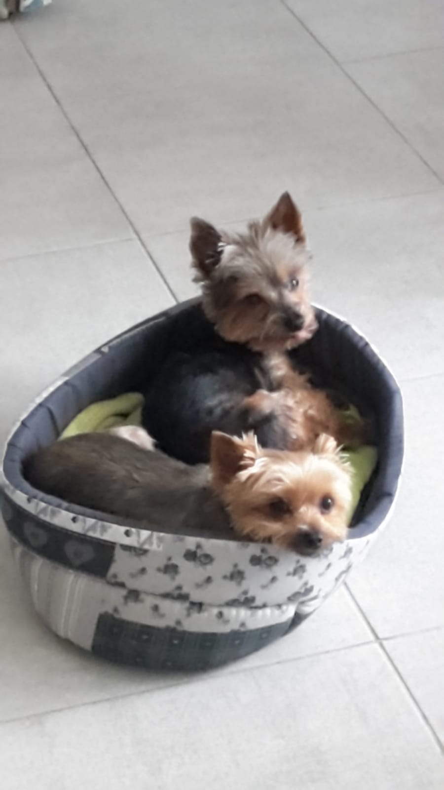 Photo n° 1 de l'avis de Monique.a fait le 09/02/2020 à 17:09
