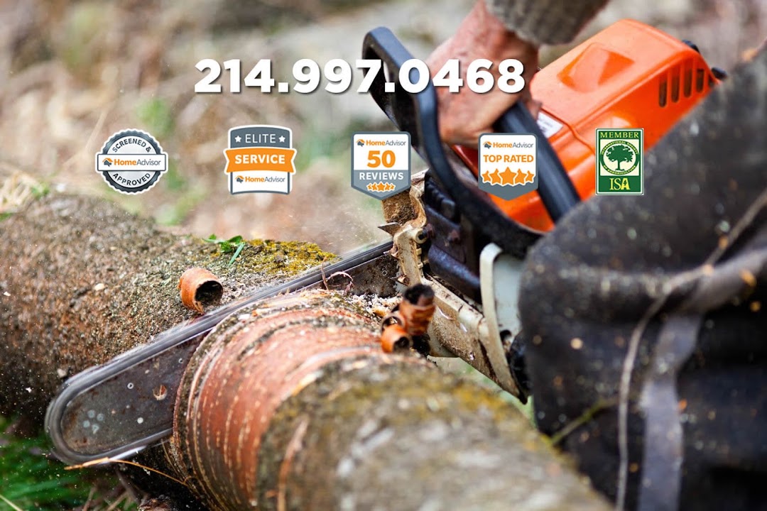 JL Tree Services