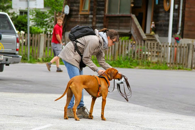 Hundeschule amicanis - Zürich