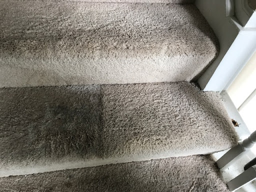 Carpet Cleaning Service «Elite Carpet Cleaning Service», reviews and photos, 29031 Glenarden St, Farmington Hills, MI 48334, USA