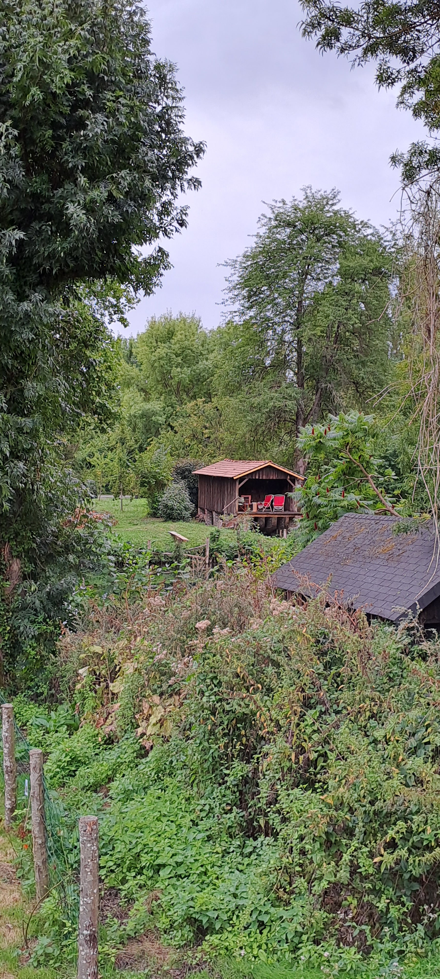 Photo n° 15 de l'avis de Rose.i fait le 01/10/2022 à 16:43