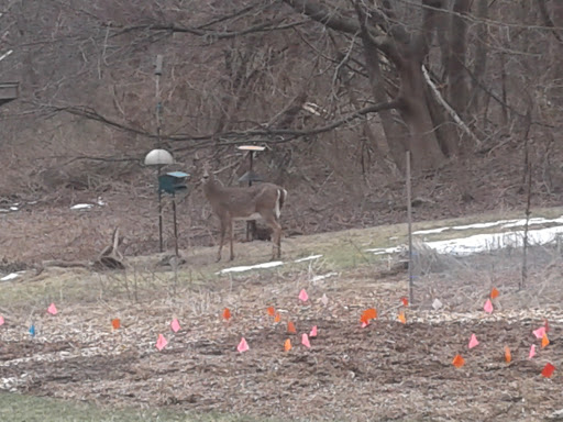 Non-Profit Organization «Museum of American Bird Art at Mass Audubon», reviews and photos, 963 Washington St, Canton, MA 02021, USA