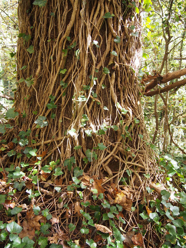 Park «Cochran Shoals - Powers Island», reviews and photos, 5450 Interstate N Pkwy, Sandy Springs, GA 30328, USA