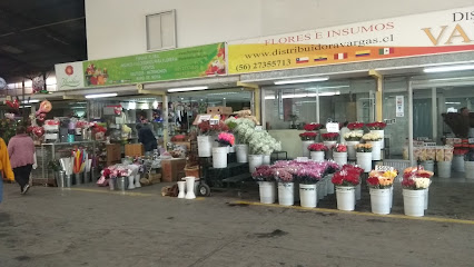 Mercado De Flores Y Plantas