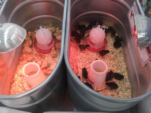 Home Improvement Store «Tractor Supply Co.», reviews and photos, 25 Putnam Plaza, Greencastle, IN 46135, USA